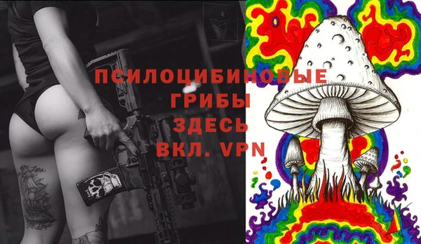 шишки Остров