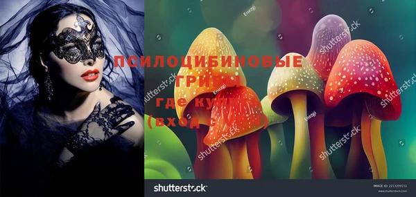 шишки Остров