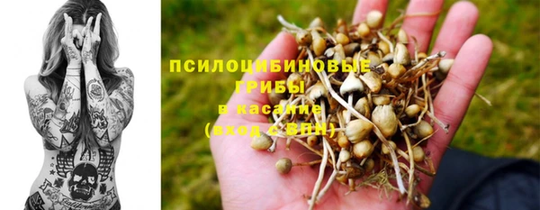 шишки Остров